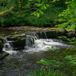 Reglarea sistemului nervos in trauma